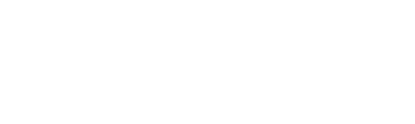 Turkish Airlines